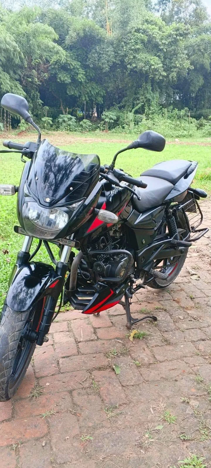 Pulser 150CC 2021