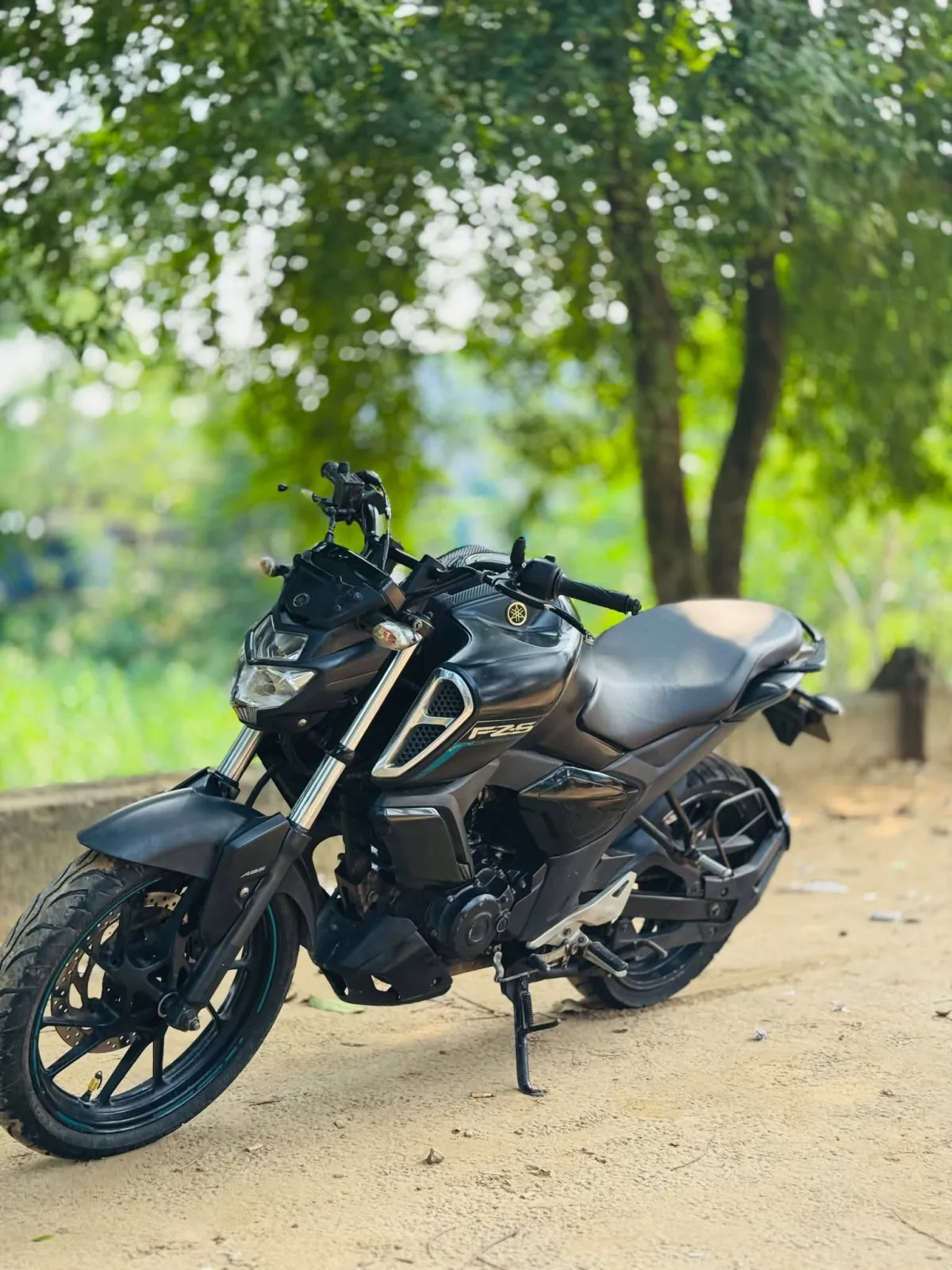 Fzs V3 2019