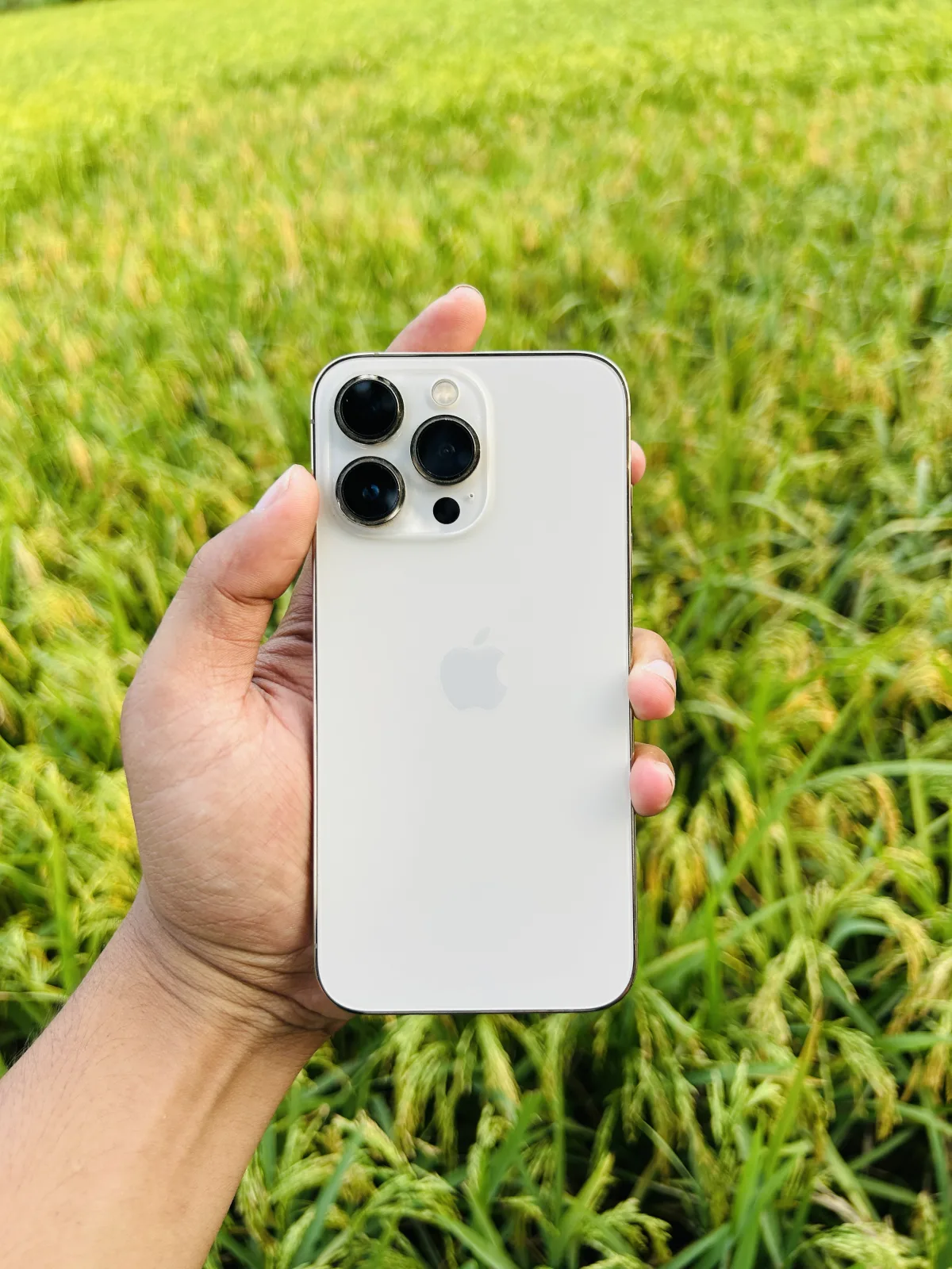 iPhone 13 Pro 256GB